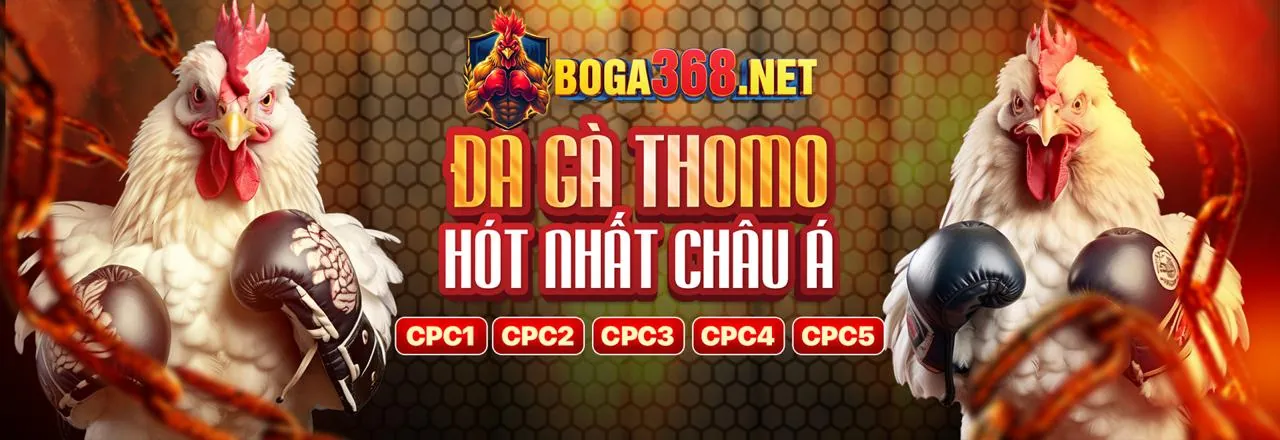 Cá Cược Thể Thao Trực Tuyến